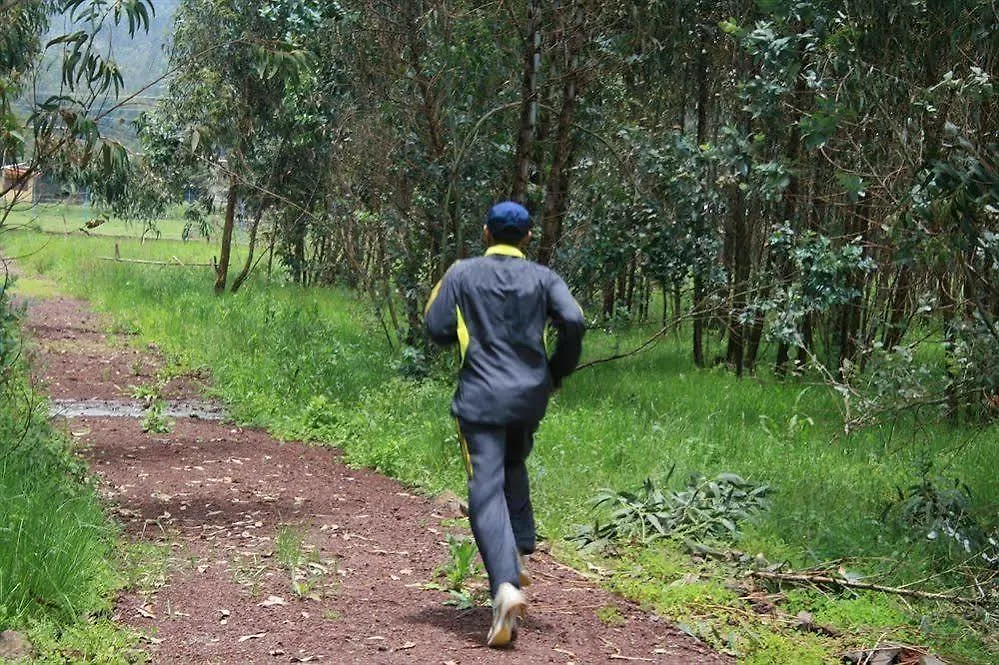 Yaya Africa Athletics Village Sululta